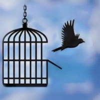 Free Bird